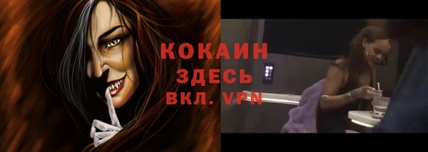 дживик Болхов