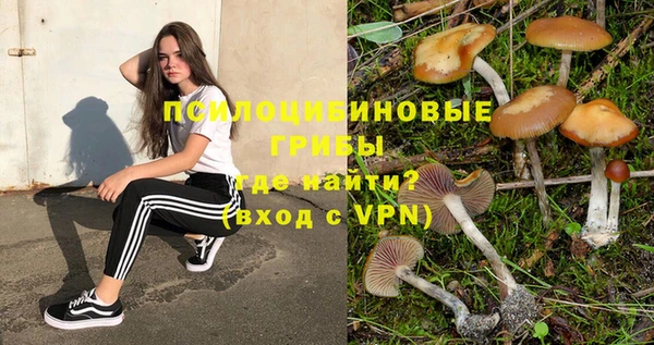 гашиш Осташков