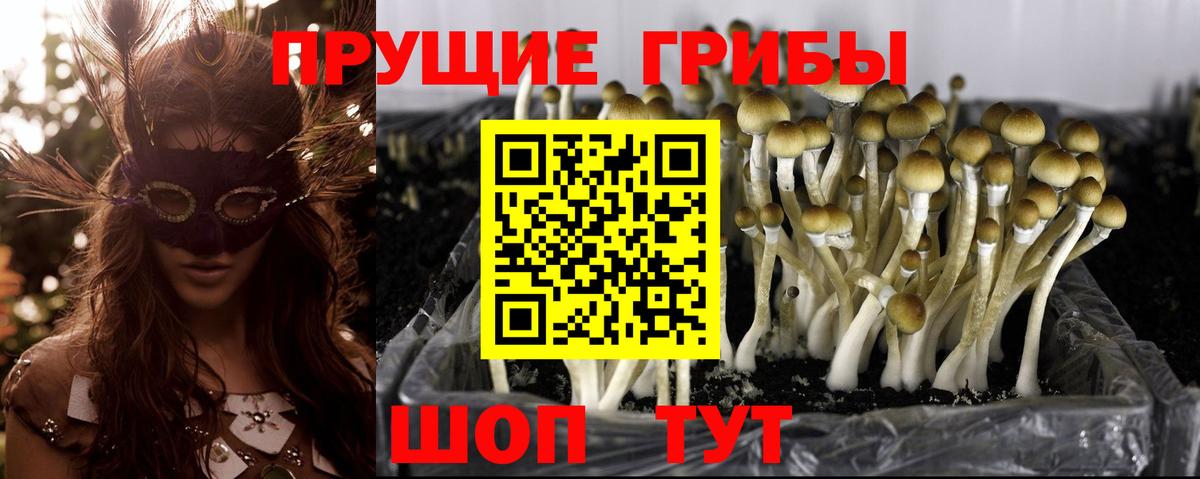 Псилоцибиновые грибы MAGIC MUSHROOMS Кинешма