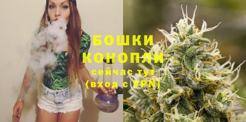 hydra ссылки  купить наркотики цена  Кинешма  Каннабис Ganja 