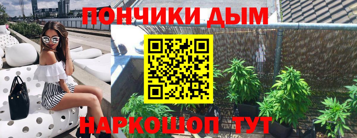 МАРИХУАНА SATIVA & INDICA Кинешма
